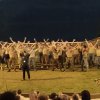 2023-summer-camp